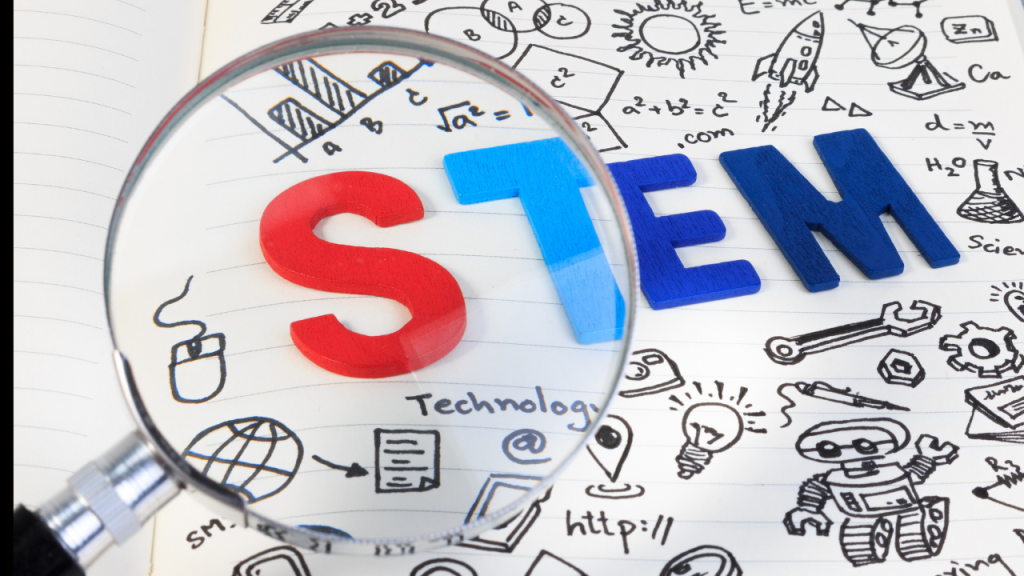 The Best US Universities for STEM Majors in 2024